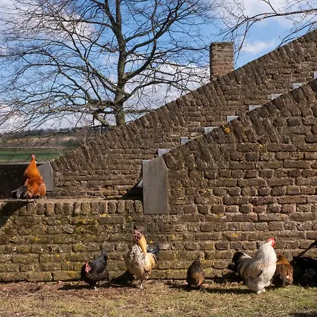 Meschermolen 13 アパート