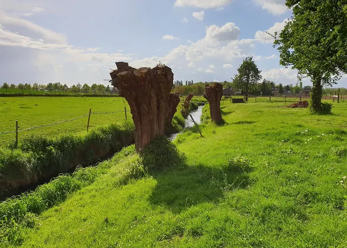 Meschermolen 13 Апартаменты *