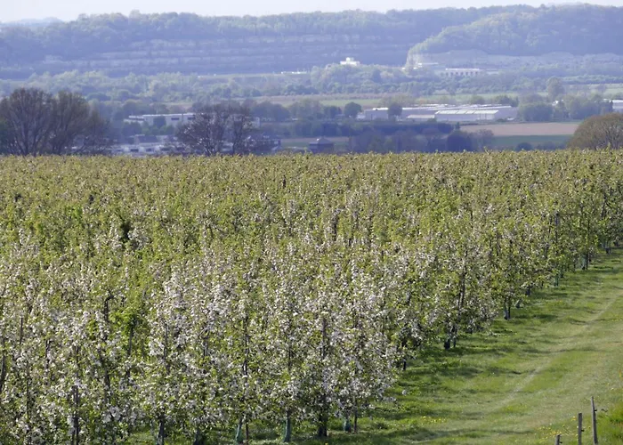 Meschermolen 13 Апартаменты *