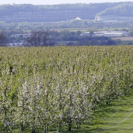 Meschermolen 13 Apartament *