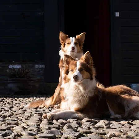 Meschermolen 13 Apartament *