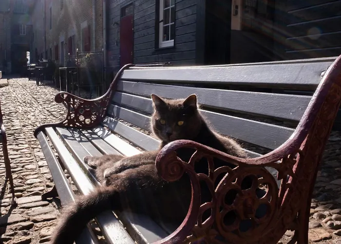 דירה Meschermolen 13